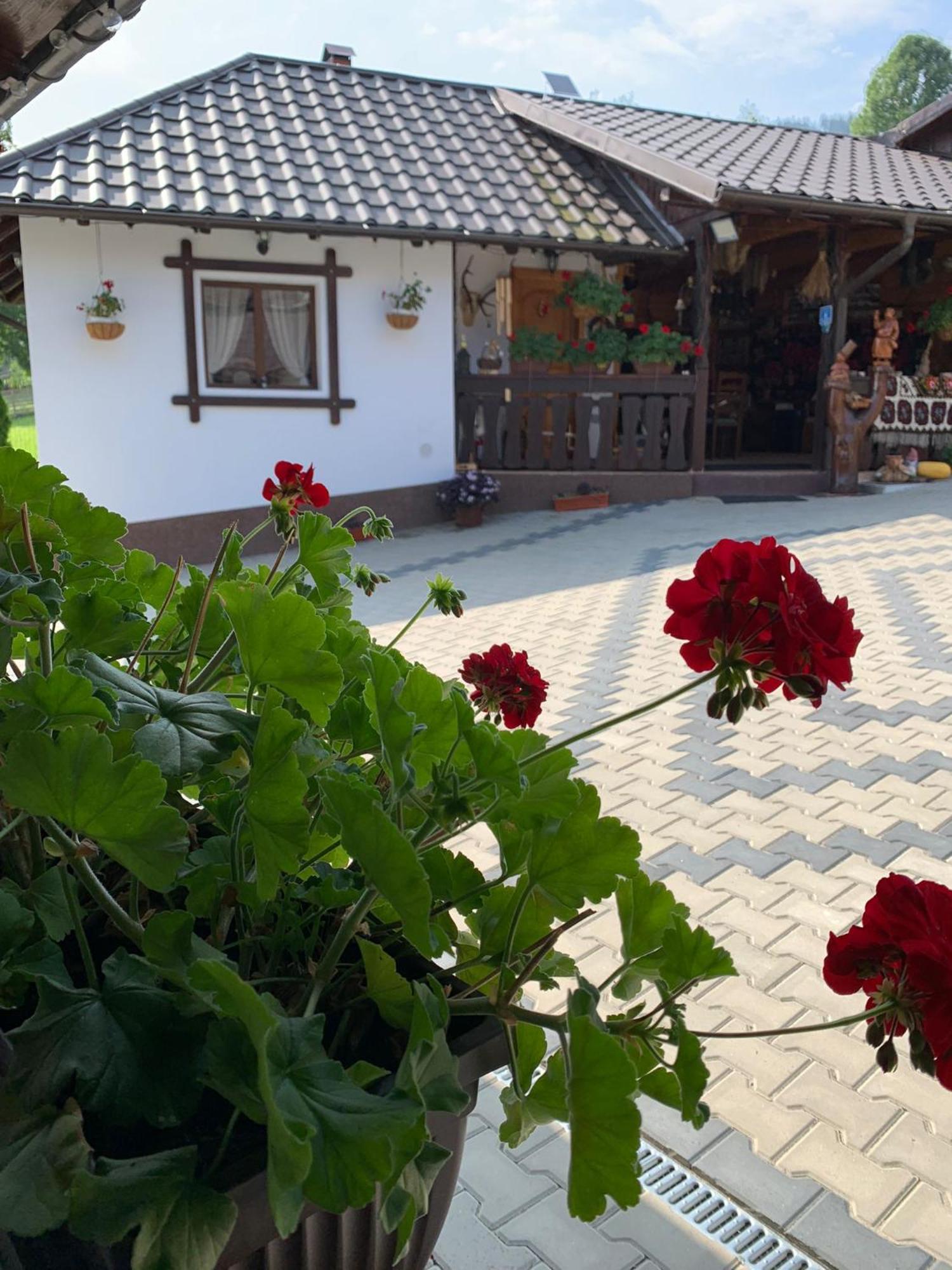 Casa De Pe Deal Sadova  Zewnętrze zdjęcie